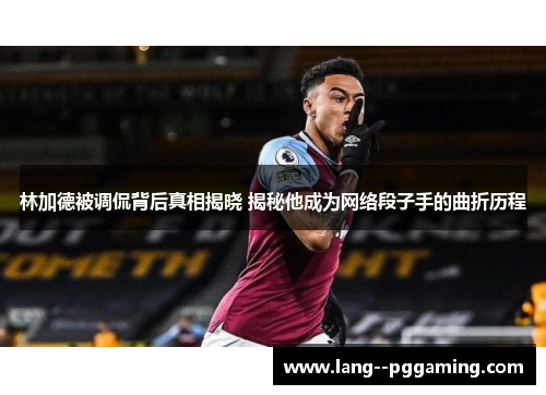 林加德被调侃背后真相揭晓 揭秘他成为网络段子手的曲折历程