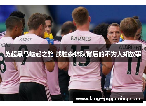 英超黑马崛起之路 战胜森林队背后的不为人知故事 英超黑马崛起之路 战胜森林队背后的不为人知故事