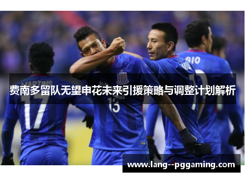 费南多留队无望申花未来引援策略与调整计划解析 费南多留队无望申花未来引援策略与调整计划解析