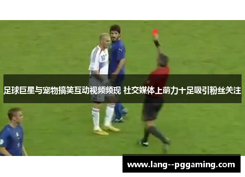 足球巨星与宠物搞笑互动视频频现 社交媒体上萌力十足吸引粉丝关注 足球巨星与宠物搞笑互动视频频现 社交媒体上萌力十足吸引粉丝关注