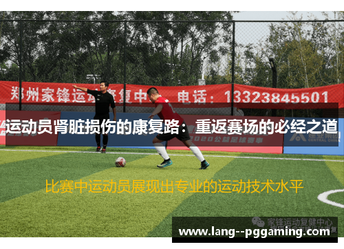 运动员肾脏损伤的康复路：重返赛场的必经之道