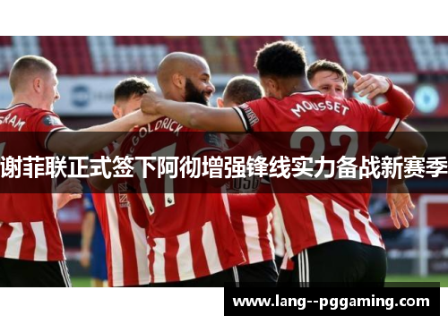 谢菲联正式签下阿彻增强锋线实力备战新赛季